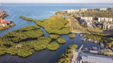 1000 Cove Cay Drive Clearwater FL 33760