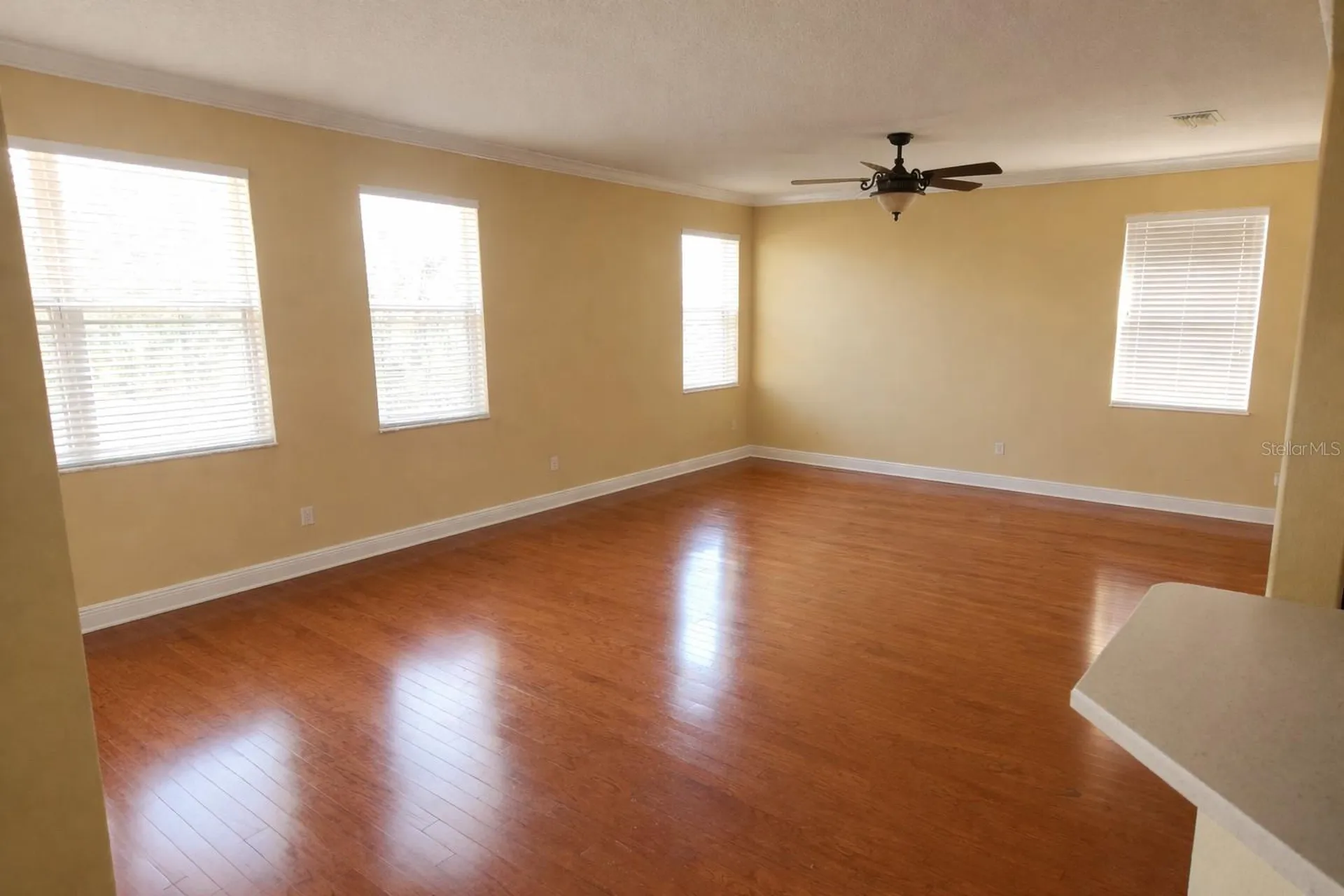 5810 Candytuft Place Land O Lakes FL 34639