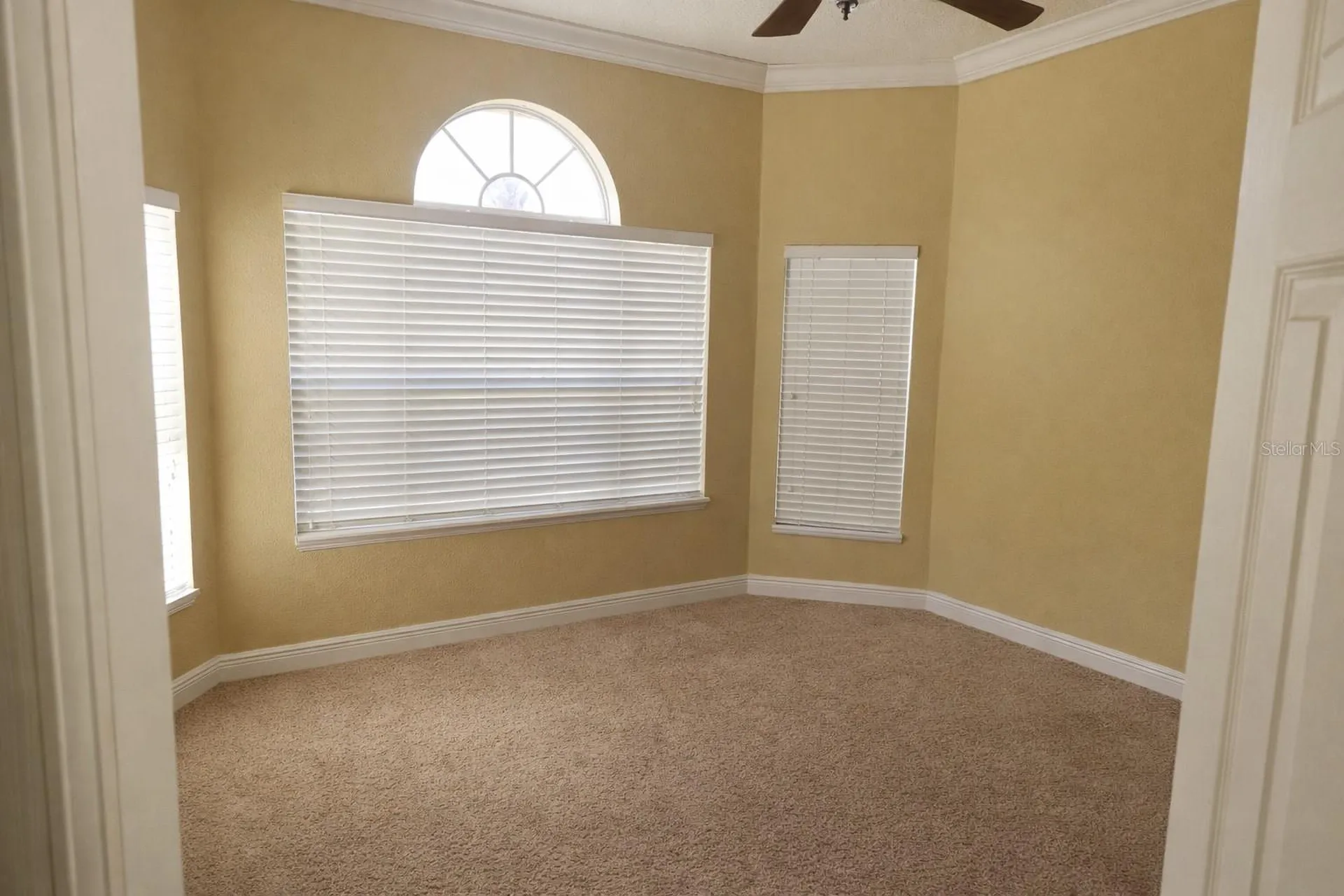 5810 Candytuft Place Land O Lakes FL 34639
