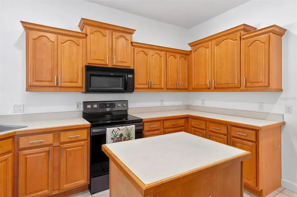 19337 Spring Oak Drive Eustis FL 32736