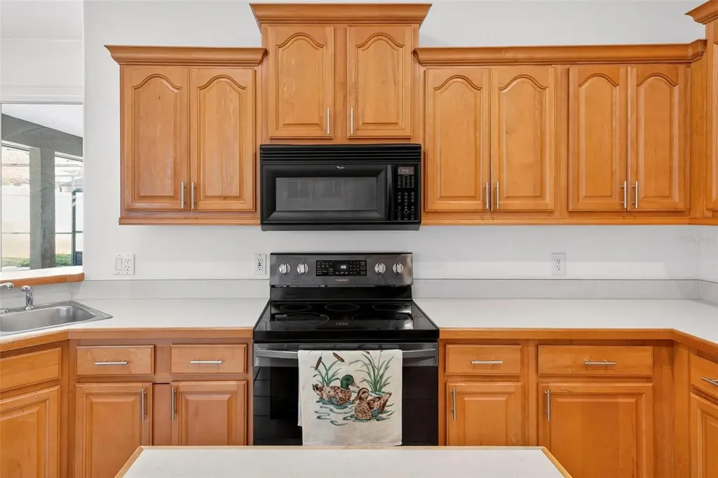 19337 Spring Oak Drive Eustis FL 32736