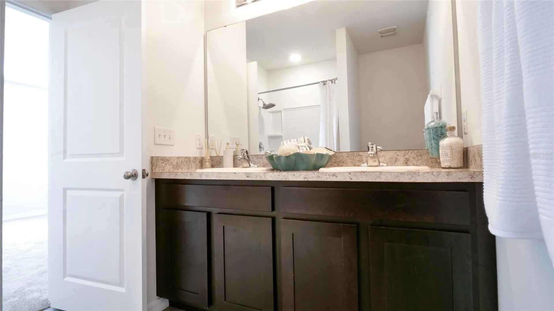 3503 Diamond Leaf Court Valrico FL 33594