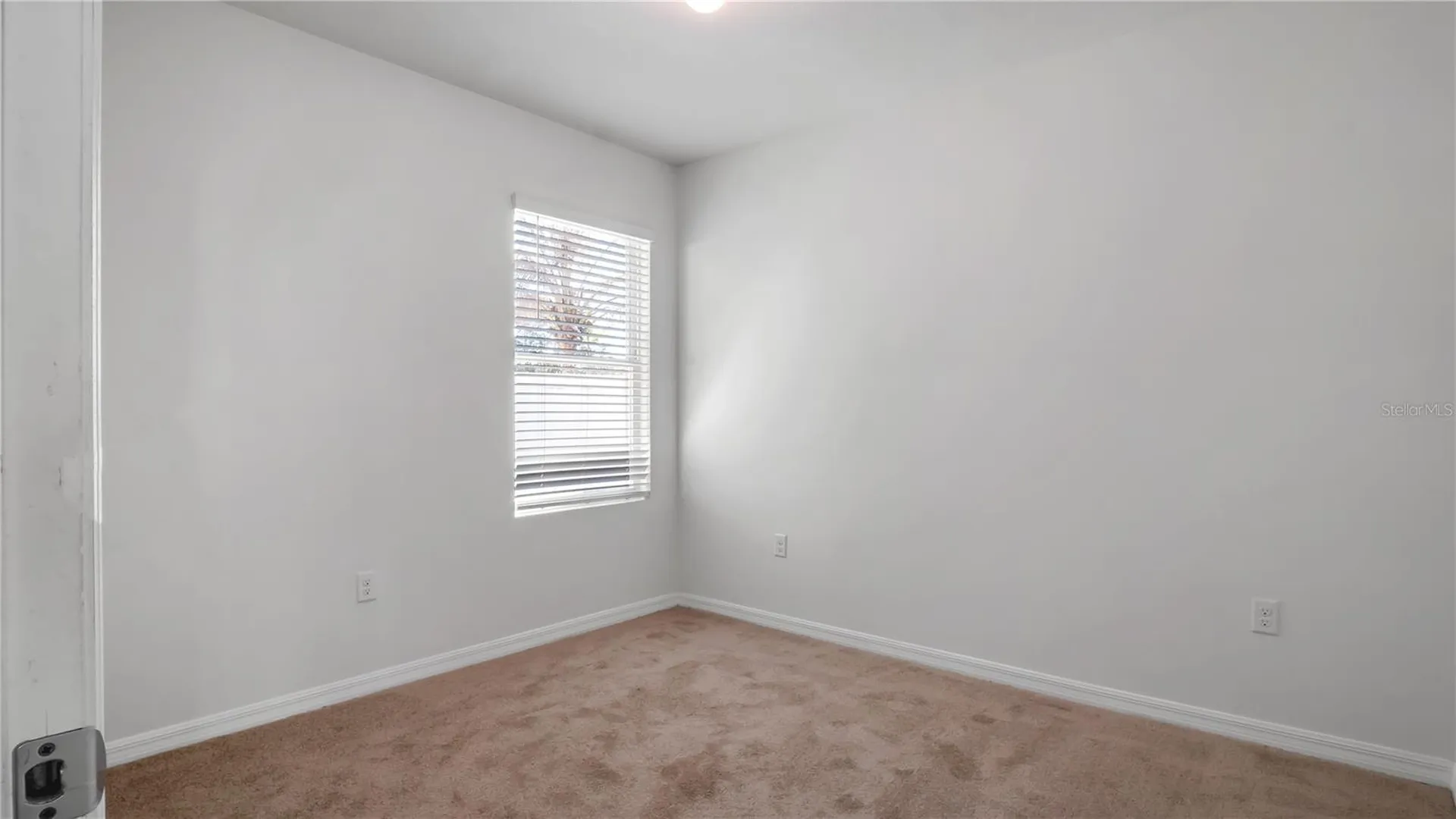 3503 Diamond Leaf Court Valrico FL 33594
