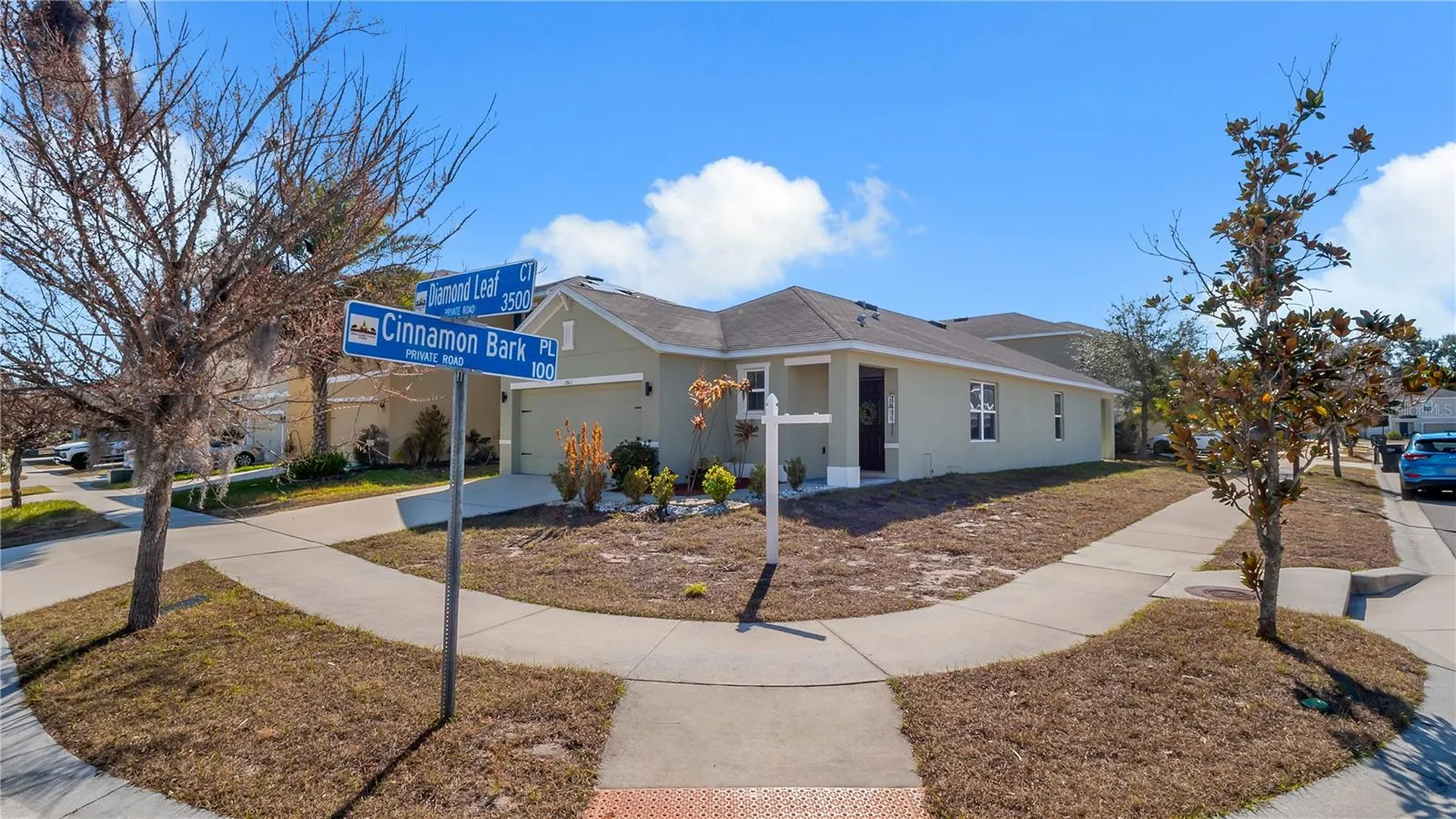 3503 Diamond Leaf Court Valrico FL 33594