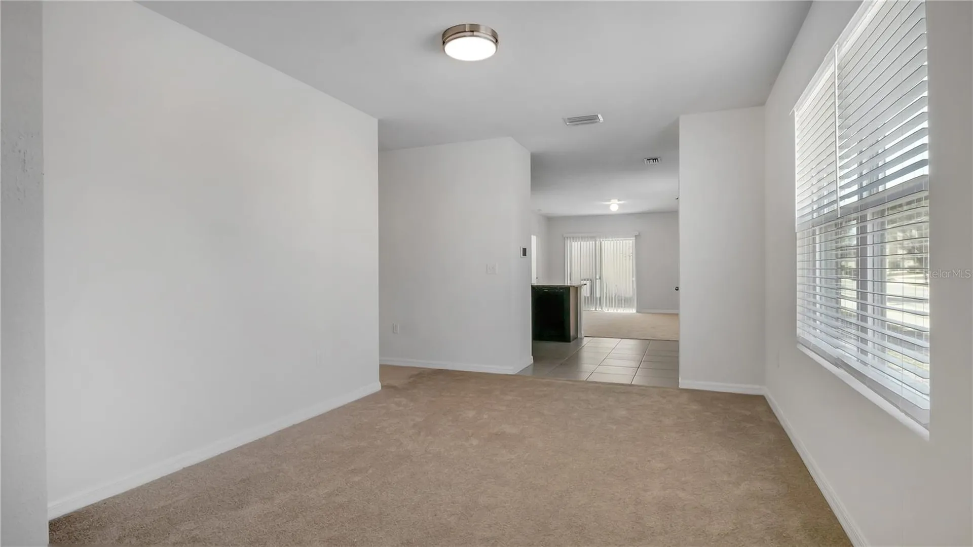 3503 Diamond Leaf Court Valrico FL 33594