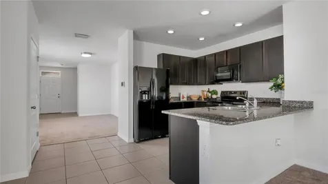 3503 Diamond Leaf Court Valrico FL 33594