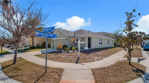 3503 Diamond Leaf Court Valrico FL 33594