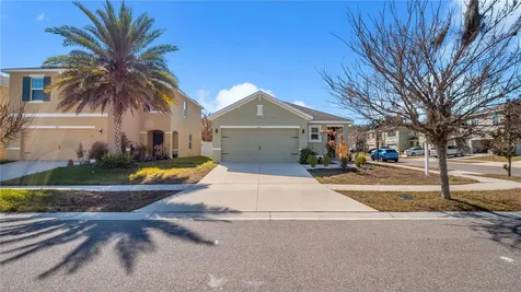 3503 Diamond Leaf Court Valrico FL 33594