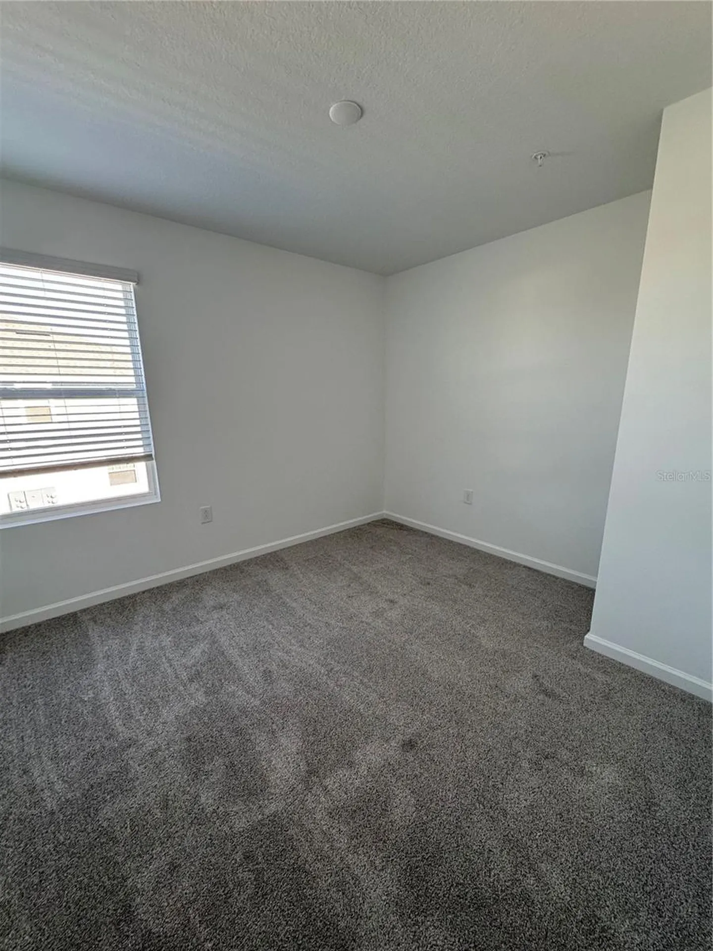 2751 Camellia Flower Street Apopka FL 32703