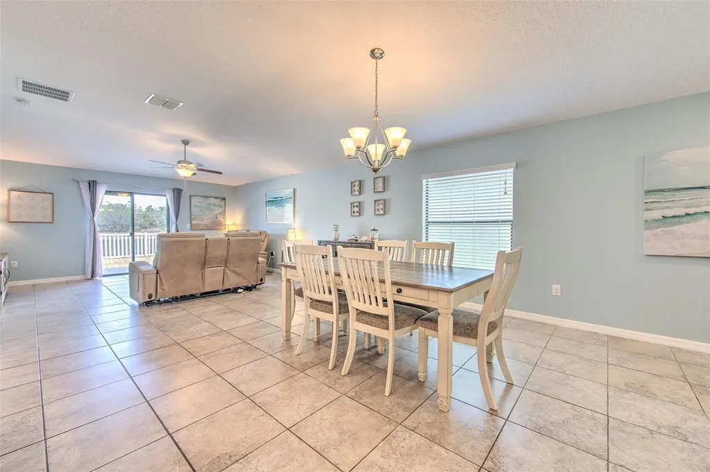 12619 Lemon Pepper Drive Riverview FL 33578