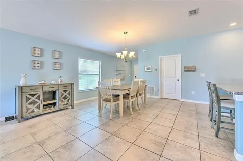12619 Lemon Pepper Drive Riverview FL 33578