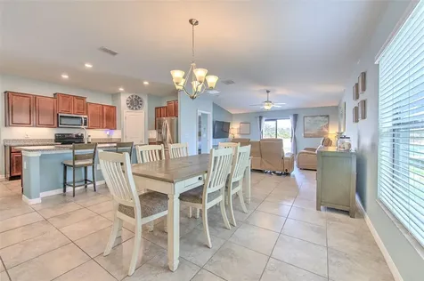 12619 Lemon Pepper Drive Riverview FL 33578