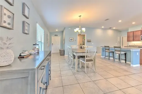 12619 Lemon Pepper Drive Riverview FL 33578