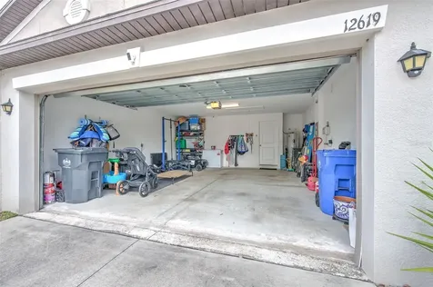 12619 Lemon Pepper Drive Riverview FL 33578