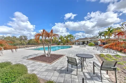 12619 Lemon Pepper Drive Riverview FL 33578