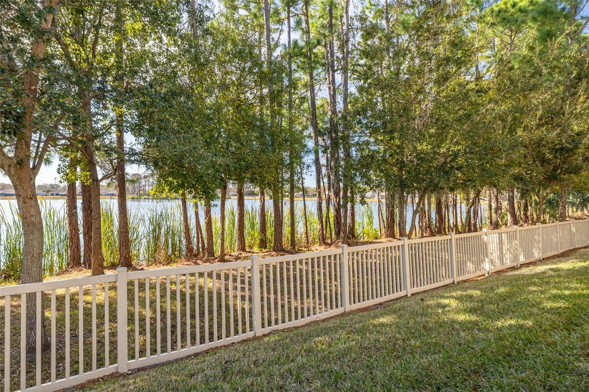 11418 Crowned Sparrow Lane Tampa FL 33626