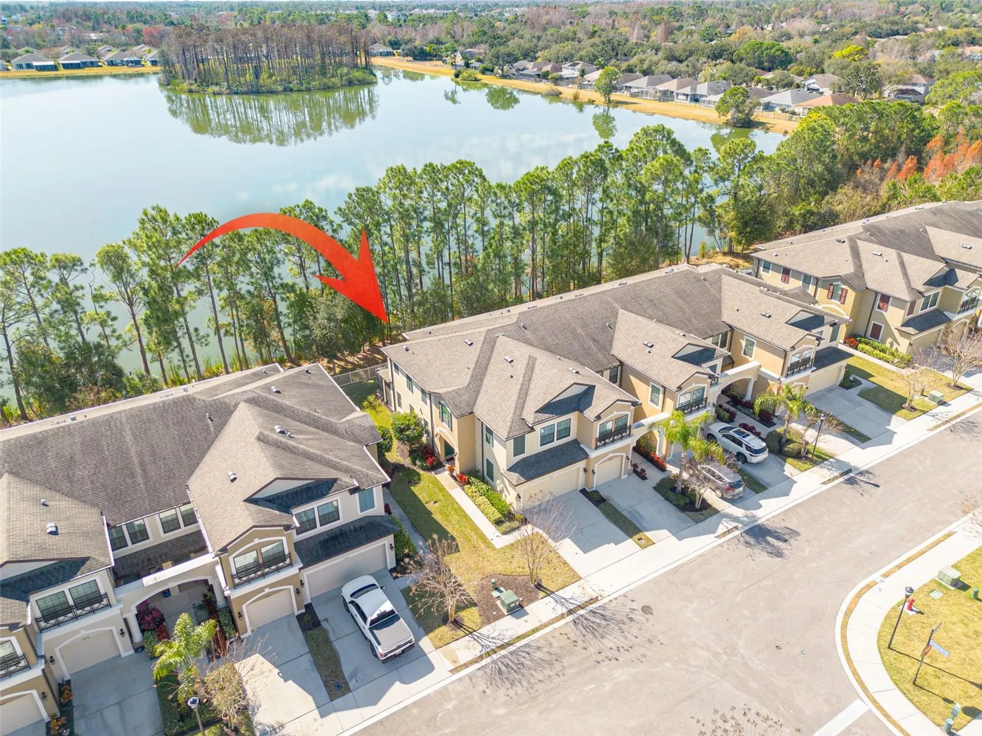 11418 Crowned Sparrow Lane Tampa FL 33626