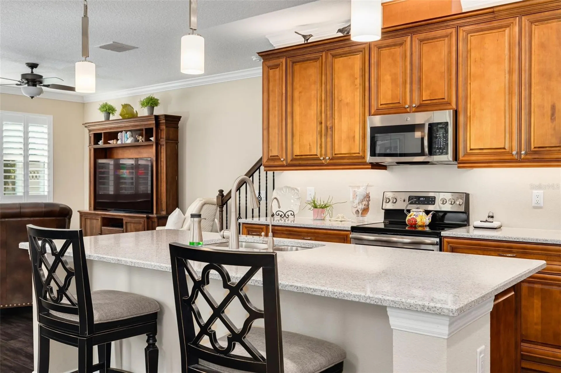11418 Crowned Sparrow Lane Tampa FL 33626