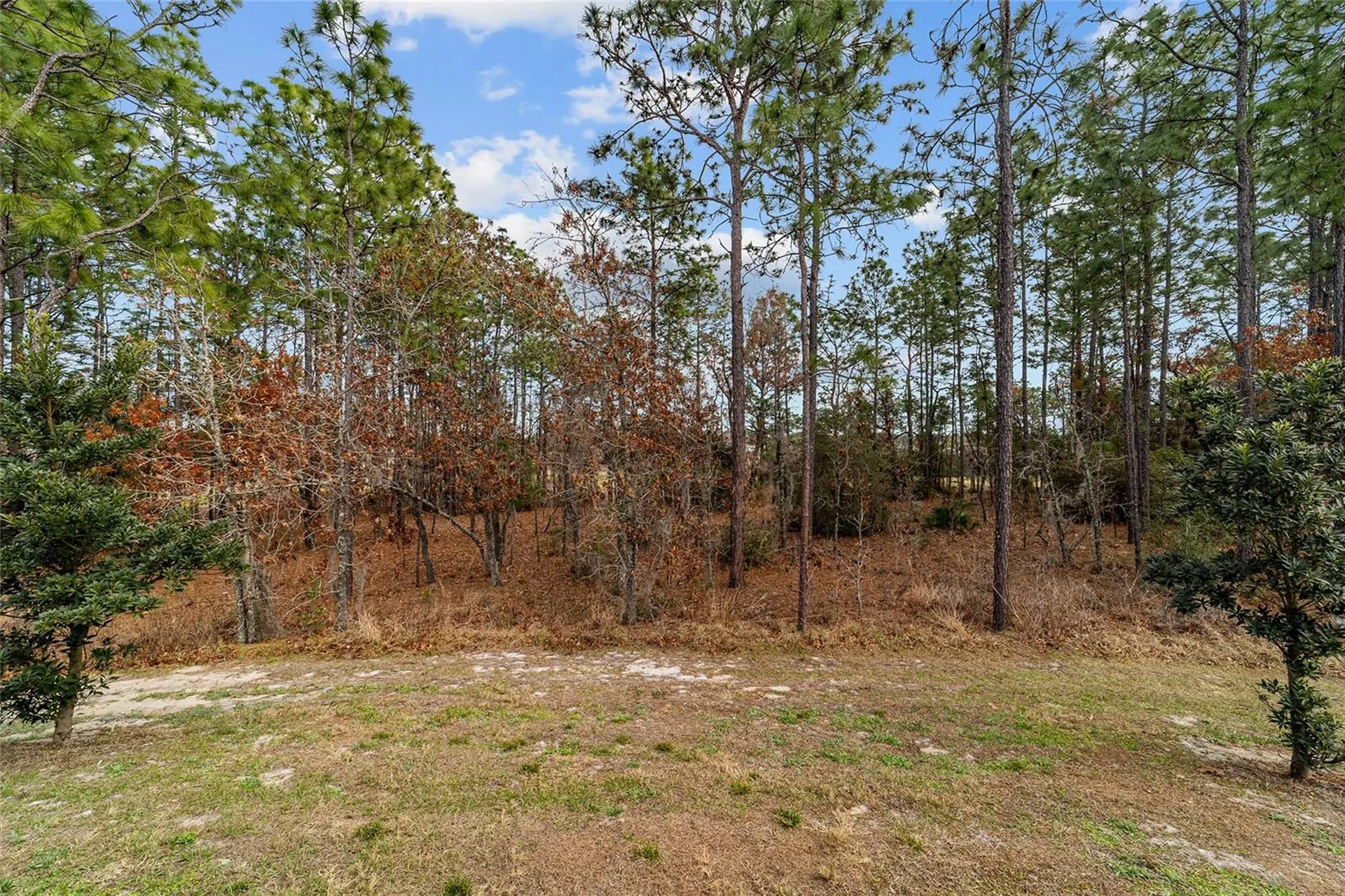 227 Hickory Course Ocala FL 34472