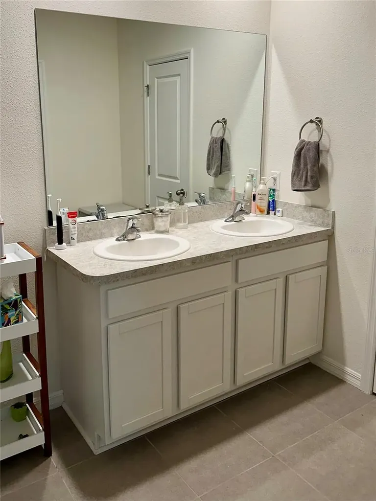 32860 Brooks Hawk Lane Wesley Chapel FL 33543