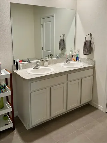 32860 Brooks Hawk Lane Wesley Chapel FL 33543