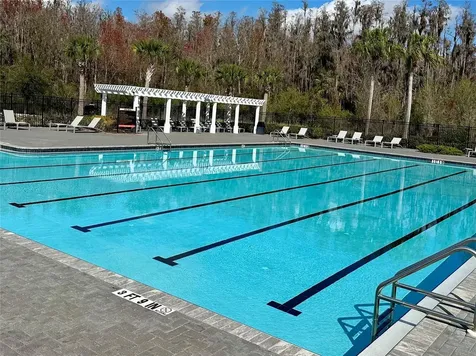 32860 Brooks Hawk Lane Wesley Chapel FL 33543