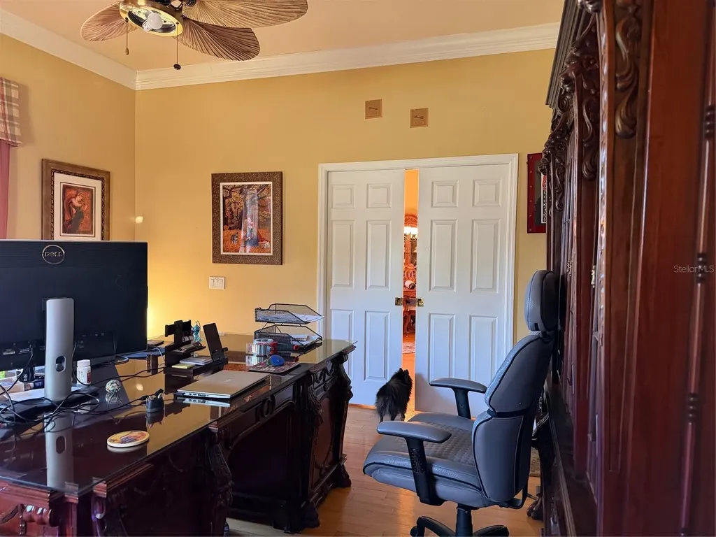 2424 Dekan Lane Land O Lakes FL 34639