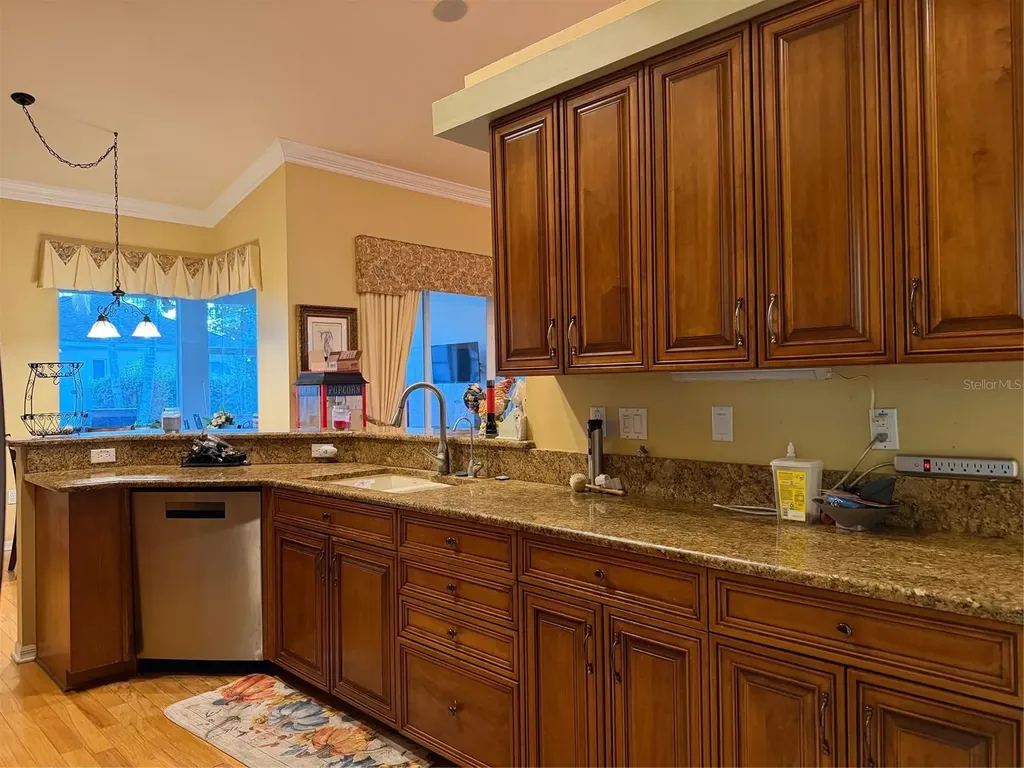 2424 Dekan Lane Land O Lakes FL 34639