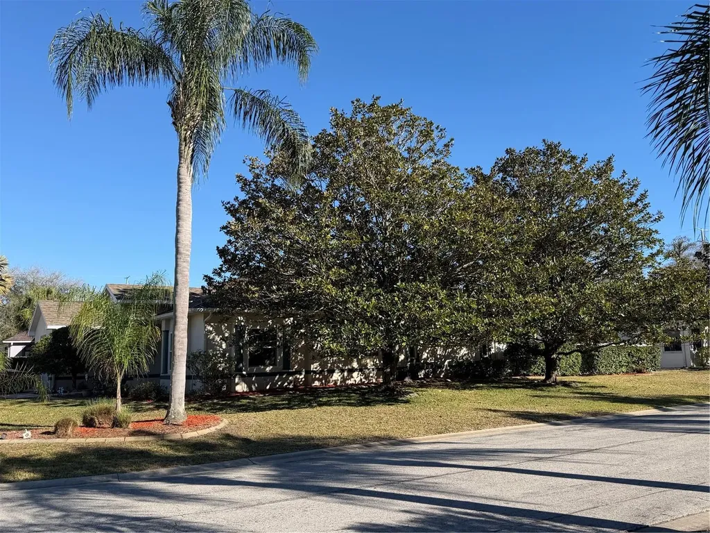 2424 Dekan Lane Land O Lakes FL 34639