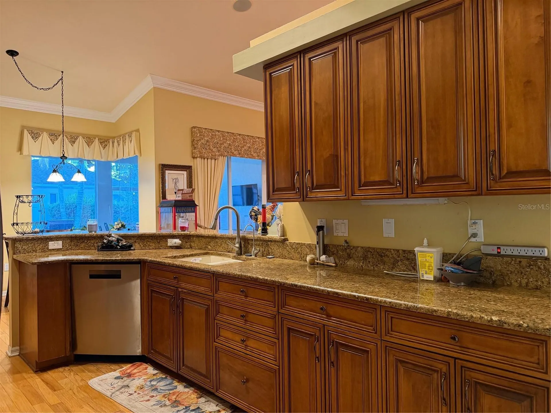 2424 Dekan Lane Land O Lakes FL 34639