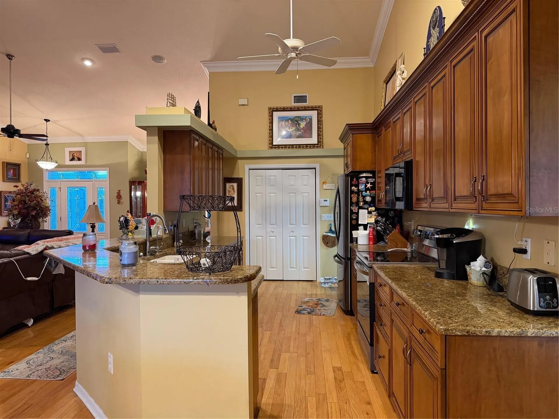 2424 Dekan Lane Land O Lakes FL 34639