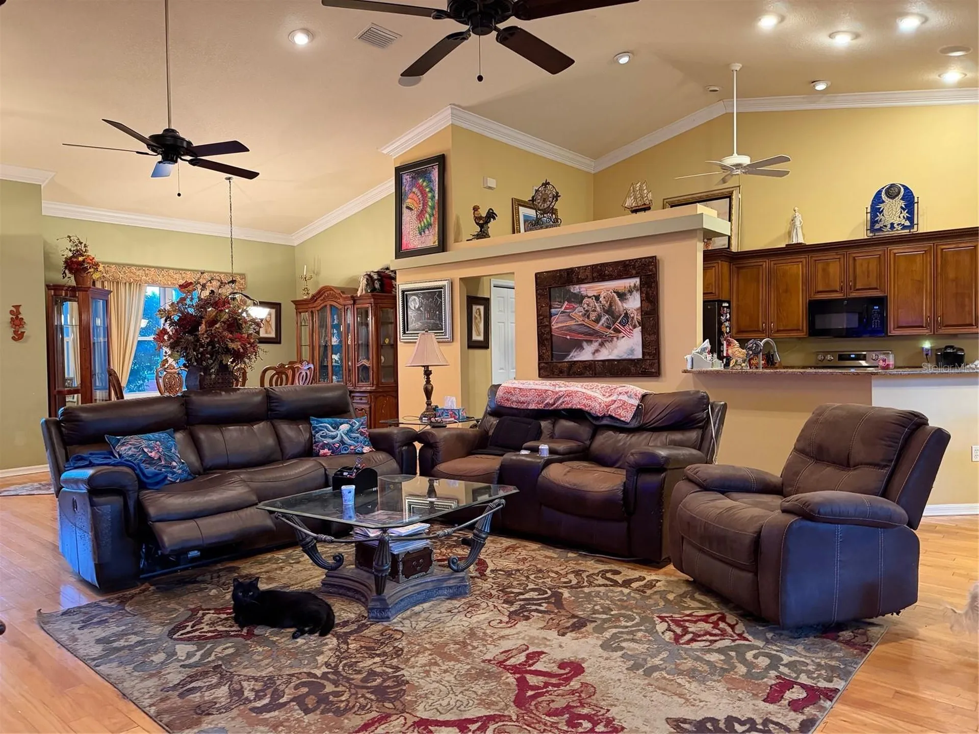 2424 Dekan Lane Land O Lakes FL 34639