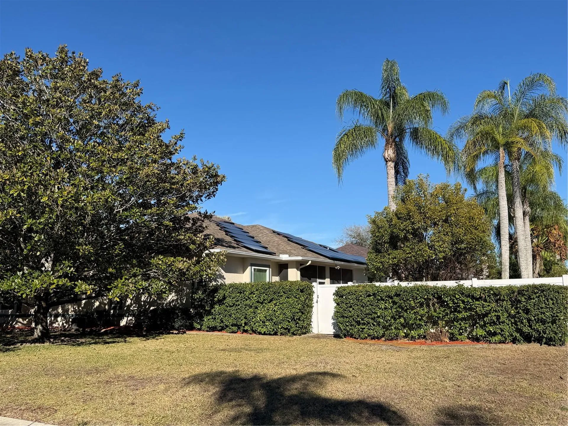 2424 Dekan Lane Land O Lakes FL 34639