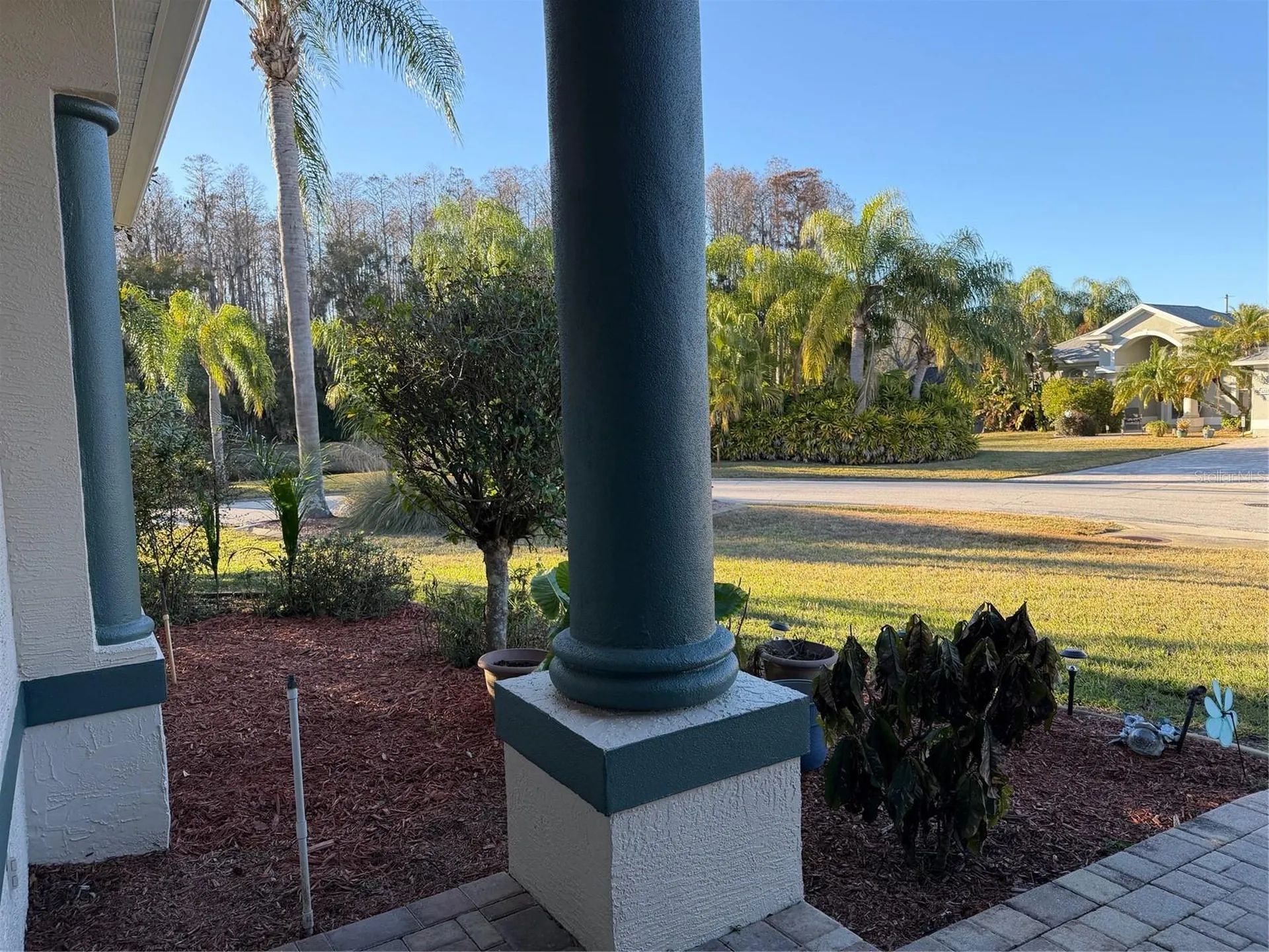 2424 Dekan Lane Land O Lakes FL 34639