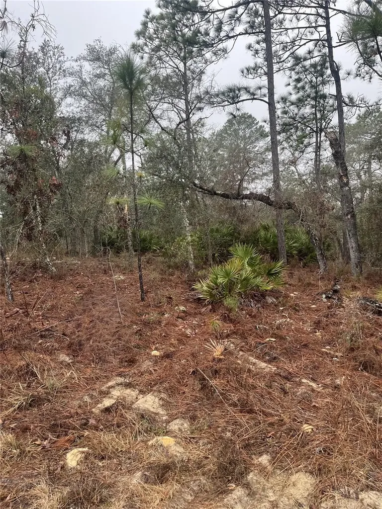 6692 N Airmont Drive Dunnellon FL 34433