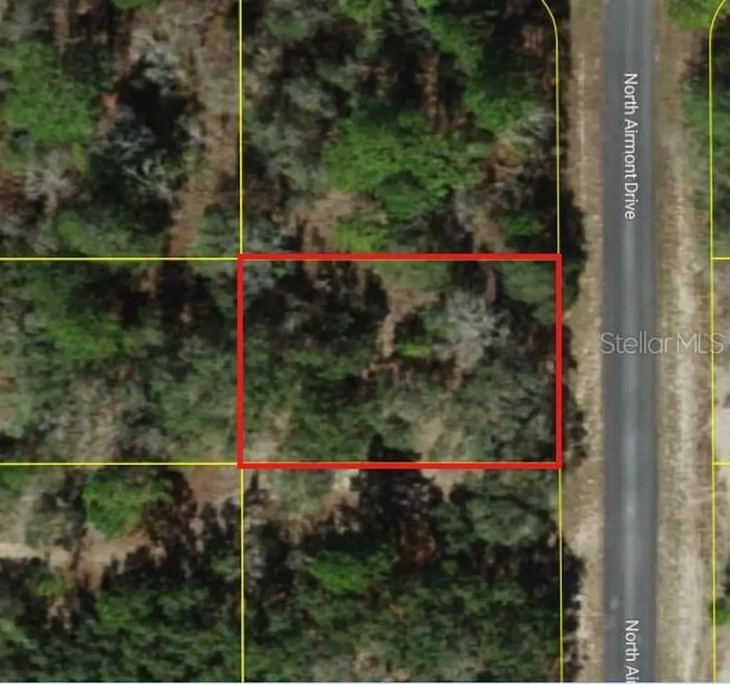 6692 N Airmont Drive Dunnellon FL 34433