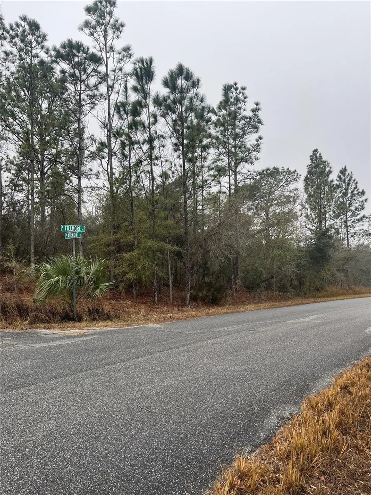 6692 N Airmont Drive Dunnellon FL 34433