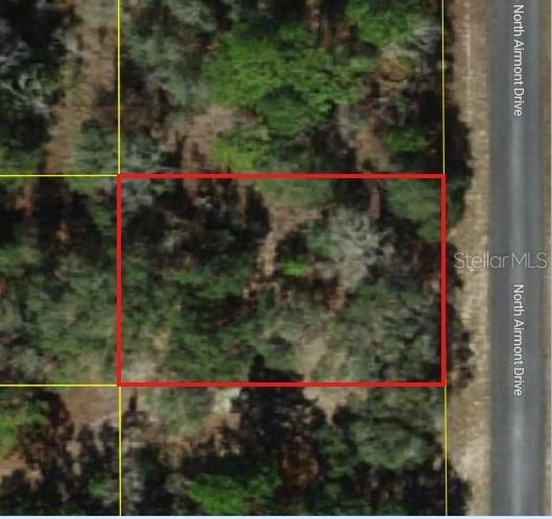6692 N Airmont Drive Dunnellon FL 34433