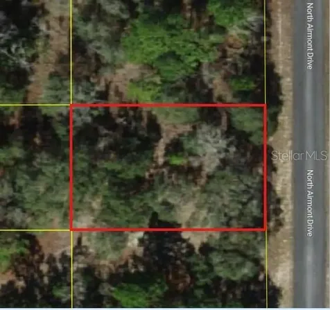 6692 N Airmont Drive Dunnellon FL 34433
