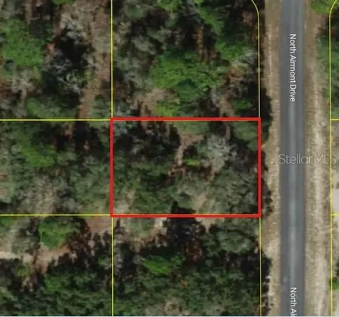 6692 N Airmont Drive Dunnellon FL 34433