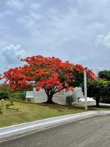 4C Cluster 2 Rio Mar Boulevard Rio Grande PR 00745