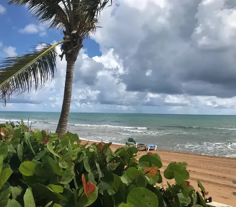 4C Cluster 2 Rio Mar Boulevard Rio Grande PR 00745