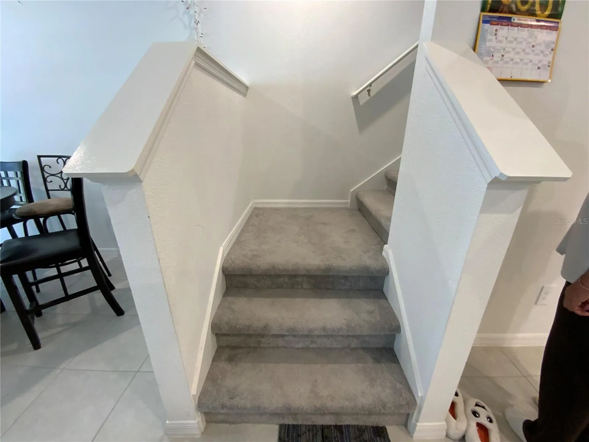 10823 Fort White Court Tampa FL 33647