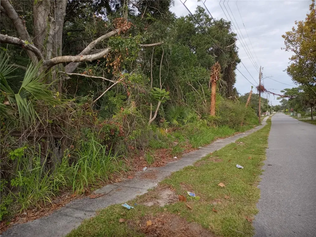 Carver Street Mims FL 32754