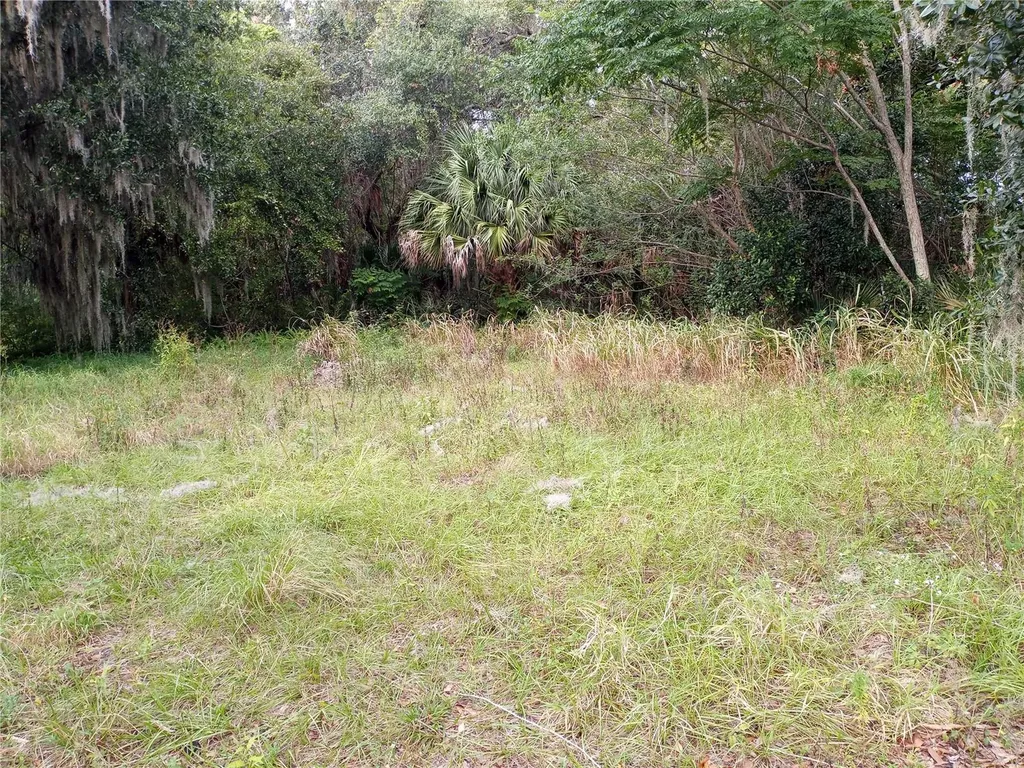 Carver Street Mims FL 32754