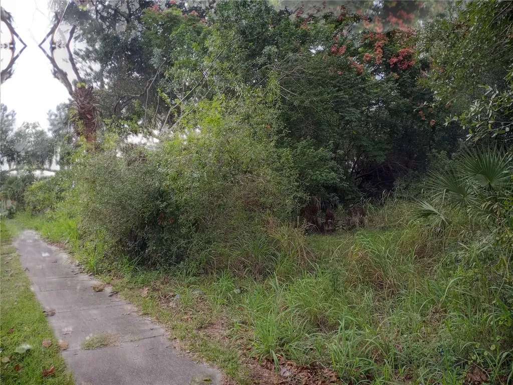 Carver Street Mims FL 32754