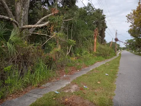 Carver Street Mims FL 32754