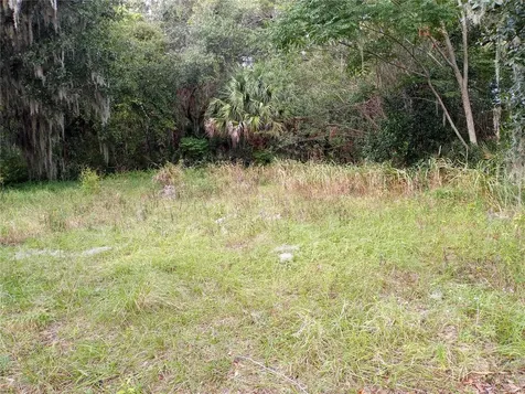 Carver Street Mims FL 32754
