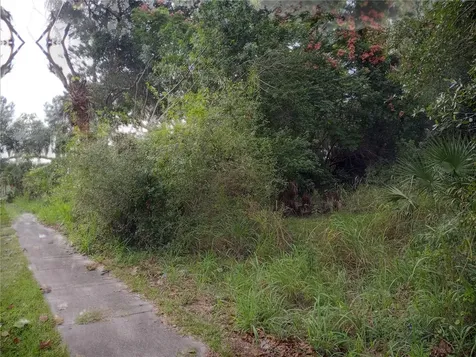 Carver Street Mims FL 32754