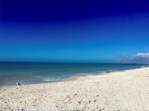 113 White Marsh Lane Rotonda West FL 33947